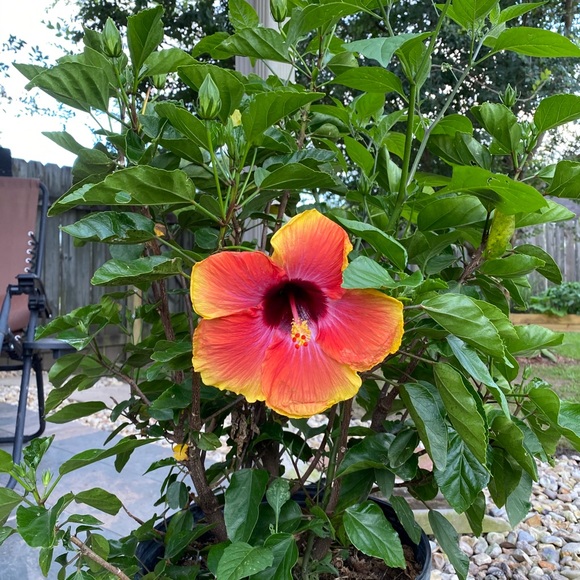 Meet your Posher - Picture 4 of 11